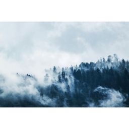 Jack &amp; Jones, Kerek nyakú organikuspamut póló